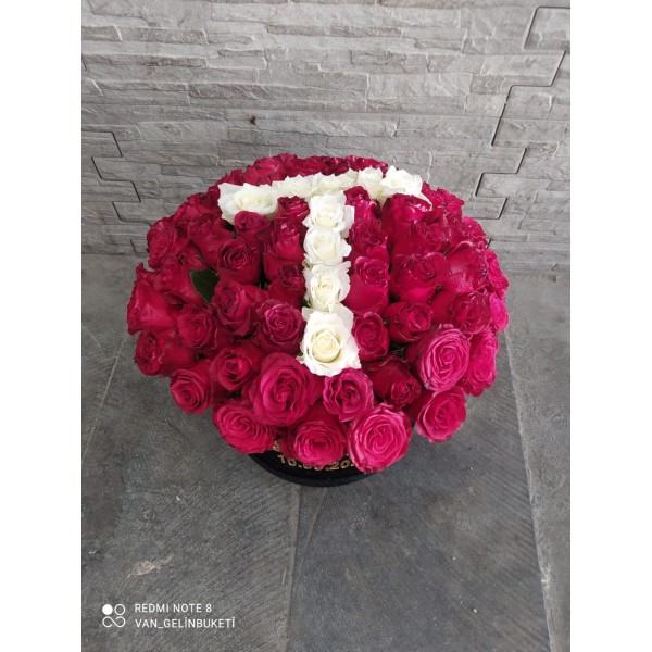 Vip 37